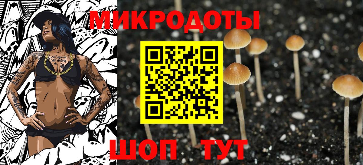 Кисловодск  Галлюциногенные грибы Psilocybine cubensis  Вход с VPN 